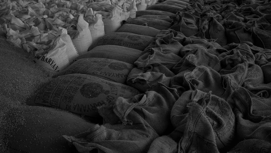 Black and white image of neatly stacked sacks filled with grain, showcasing market storage.